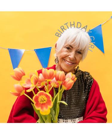 Birthday Crowns for Women Birthday Girl Headband Shining Rhinestone Accessories Party Favors Princess Rhinestone Birthday Girl Headband Birthday Gifts for Women and Girls - Buy Online on GoSupps.com