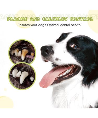 Nobleza Dog Toothbrush and Enzymatic Toothpaste Kit with Finger Toothbrushes - Promote Pet Oral Hygiene and Fresh Breath - Green - Buy Online on GoSupps.com