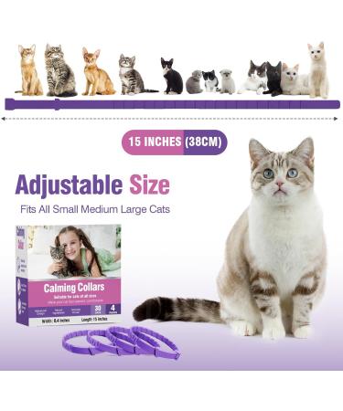 Soothing Cat Collar - Anti-Stress Neck Band for Anxiety Relief and Separation Fear - Buy Online on GoSupps.com