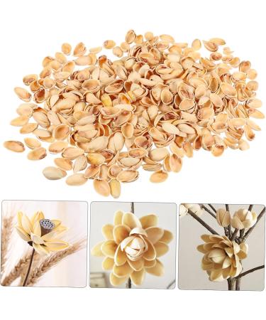 NUOBESTY 1 Pistachio Shell Kids Diy Craft Charms Turkish Diy Craft Accessories Nut Art Supplies Child - Buy Online on GoSupps.com