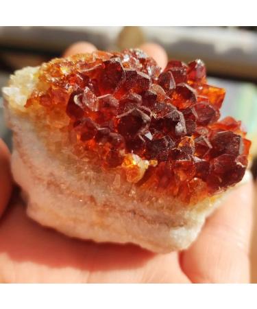 Crystals and Stones Natural Citrine Red Geode Decor Orange Quartz Crystal Cluster Rough Specimen Crafts Home Decor Gift 1pc (Color : Rojo Size : 120-200g) 120-200g Red - Buy Online on GoSupps.com