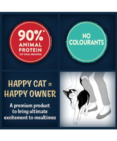 Felix Deliciously Sliced Adult Wet Cat Food Ocean Selection 12x80g Pack of 4 Ocean 960 g (Pack of 4) - Buy Online on GoSupps.com