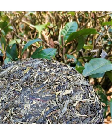 HELLOYOUNG 357g Th Pu-erh naturel vieux arbres du Yunnan chinois Feuilles de th naturelles et biologiques Aliment vert au go t apaisant - Buy Online on GoSupps.com