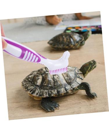 SUPVOX Turtle Shell Cleaning Brush - 4pcs Fish Tank & Tortoise Accessories | Effective Mud & Hair Cleaner (16x5cm - Buy Online on GoSupps.com