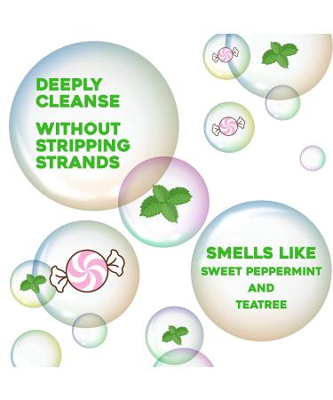 OGX Extra Strength Tea Tree Mint Scalp Shampoo - 13 fl oz | With Peppermint Oil & Witch Hazel | Paraben/Sulfate-Free - Buy Online on GoSupps.com