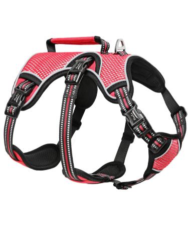 Heele dog harness breakout buckle in the neck area reflective breast dishes with a robust handle panic crockery dog dog harness stable impression fits like a glove red s s red