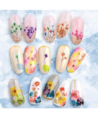 Colorful Resin Dried Flower Nail Art Kit - 60 Pcs 3D Mini Flowers for Nail Accessories, Starry Decals, 12 Colors - 2.8 x 0.75 0.67 inches - Buy Online on GoSupps.com