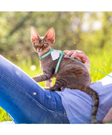 Adjustable Tiesome Cat Dishes with Leash & Collar Set - Color Gradient Kitten Dishes for Outdoor Walks (Green) | International Shipping Available - Buy Online on GoSupps.com