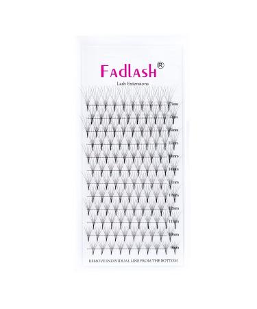 Shop 6D Volume Eyelashes | 0.07mm D Curl Premade Russian Lashes | International Shipping - Buy Online on GoSupps.com