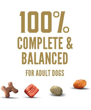 CESAR Small Breed Spring Vegetables Garnish Filet Mignon Dry Dog Food 12lb Pack - Best for Small Breeds - Buy Online on GoSupps.com