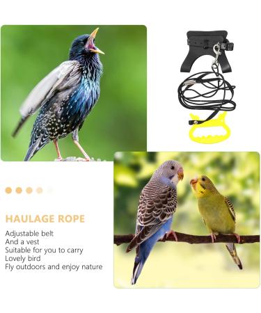 Generic Pigeon Harness Parrot Bird Strap- Adjustable Bird Vest& Harness Kit/Outdoor Parrot Flight Training Rope/Pet Outdoor Leash Suitable for Parrot Lovebird Cockatiel Birds ( M ) Macaw Harness - Buy Online on GoSupps.com