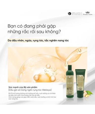 Buy Zingiber Officinale Juice Bright Hair Shampoo & Conditioner - 13.5 oz | Best Ginger Hair Loss Treatment Online - Buy Online on GoSupps.com