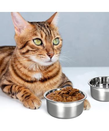 2 Pack Kennel Water Bowl for Cats & Small Dogs - No Spill Hanging Crate Bowl - 2 Cups (16oz) Feeder - Buy Online on GoSupps.com
