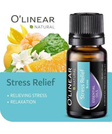 Top 6 Aromatherapy Diffuser Blends Essential Oils Set for Sleep, Mood Enhancement, and Stress Relief - Buy Online on GoSupps.com