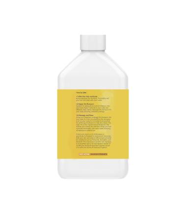 Manuka Honey Shampoo for Folliculitis & Dandruff Relief - Anti-Dandruff & Antifungal Formula 8 Fl Oz - Buy Online on GoSupps.com