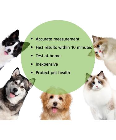 ISENVO Rapid Detection of Giardia in Dogs and Cats - Giardia Test Reliable Detection of Intestinal Parasites and Diarrhea - Used for Giardia in Dogs and Cats (2pcs) - Buy Online on GoSupps.com