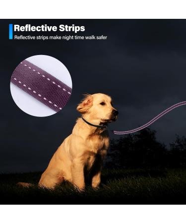 Buy Loutep Reflecting Training Dog Leash - Extra Long Nylon Rope Padded Handle Multiple Lengths for All Dog Sizes - Reflective Violet Ships Internationally - Buy Online on GoSupps.com