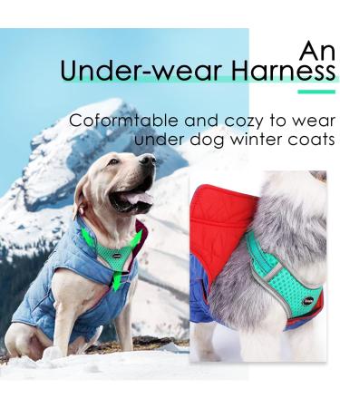 Thinkpet No-Pull Dog Harness & Leash Set - Breathable Adjustable Chest Harness for Small Medium & Large Dogs - Safe Reflective Running Harness (Green) - Buy Online on GoSupps.com