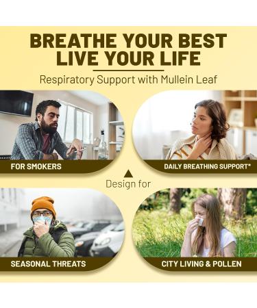 vivcmin Oil of Oregano & Mullein Drops - Respiratory & Digestive Support Wellness - Buy Online on GoSupps.com