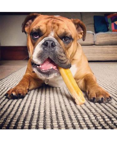 Super Himalayan Dog Chew-All Natural Hard Cheese Himalayan Dog Treats-Long Lasting Dog Yak Chews Made in Europe-Large for Dogs 15-25 kg Large(L)-Dogs 15-25 kg - Buy Online on GoSupps.com