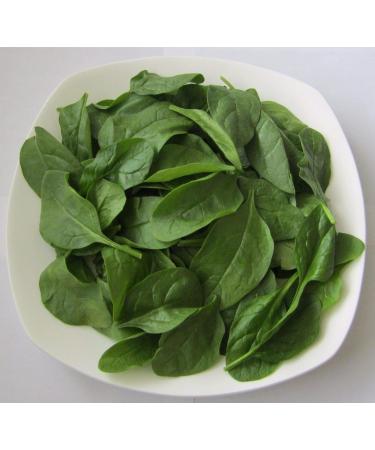 Portal Cool 2G Approx 150 Matador Spinach Seeds Rich in Vitamins Excellent Taste - Buy Online on GoSupps.com