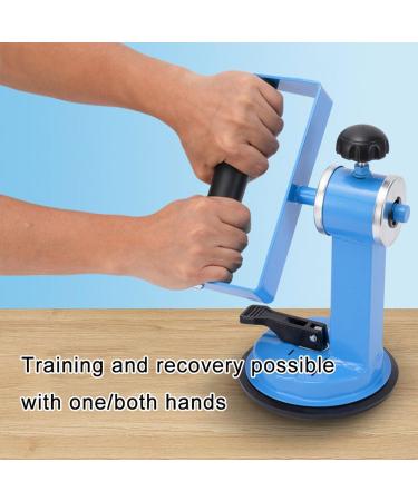 Wrist Rehabilitation Training Device Upper Body Exercise Equipment with Strong Suction Cups One-Hand/Two-Hand Fitness Equipment Adjustable Resistance for Stroke Hemiplegic People - Buy Online on GoSupps.com
