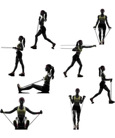 REEHUT Resistance Bands Set - 8-Atomic (70-75 lbs) with Handles, Door Anchor, Manual - for Strength Training, Physical Therapy, Pilates, Home Workouts - Buy Online on GoSupps.com