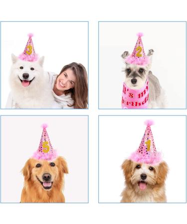 Dog Girl Birthday Party Set: Bandanas, Hat, Scarf, Banner, Balloons & Bowtie - Puppy Dog Pals Decorations - Pink - Buy Online on GoSupps.com