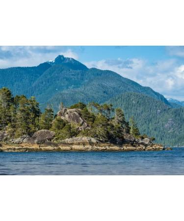 Lais Puzzle Bay near Tofino on the west coast of Vancouver Island on the northern edge of the Pacific Rim National Park Reserve British Columbia. Canada 1000 pieces - Buy Online on GoSupps.com