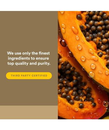 Natural Factors - Zymactive Proteolytic Enzyme Double Strength Supports a Healthy Inflammatory Response to Help Muscle and Joint Function Gluten Free Non-GMO 30 Enteric Coated Tablets 30 count (Pack of 1) - Buy Online on GoSupps.com