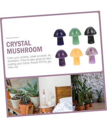 FRCOLOR 6 Pcs Crystal Mushroom Ornament Unique Camera Lens Case & Agate Decor for Vases Miniature Chakra Stones Flowerpot Accents - Buy Online on GoSupps.com