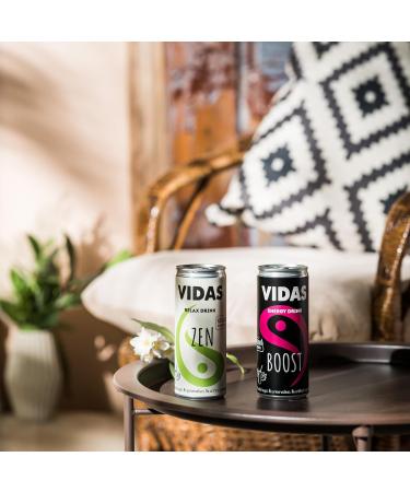 VIDAS | ZEN Relax Drink | Jasmine & Green Tea | 250 ml Can Pack of 12 | Soothing & Relaxing with Natural Ingredients - Buy Online on GoSupps.com