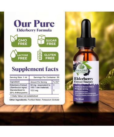 Elderberry Extract 15 000mg Strength Tincture - Organic Immune Support & Wellness Supplement | Elderberry Syrup Organic | 30ml/1oz 1 Fl Oz (Pack of 1) - Buy Online on GoSupps.com