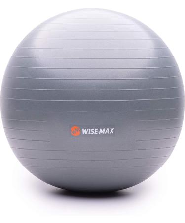 Wisemax Exercise Ball Chair Bundle - 65cm Gray with Ring Base, Resistance Bands, Pump, Carry Bag, Poster - Ideal for Home, Office, Gym Workouts - Buy Online on GoSupps.com