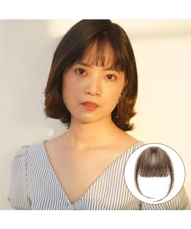 Clip in Fringe Clip in Bangs for Women Hair Extensions with Temples Hairpieces Fashion Wispy Bangs Fringe Air Bangs Clip for Daily Wear Y7LHJFP (light brown) - Buy Online on GoSupps.com