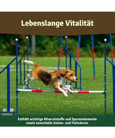 Veddelholzer Natural Green Lip Powder for Dogs - 500g High-Quality Green Lip Mussel Supplement - Buy Online on GoSupps.com