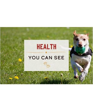 Merrick Lil Plates Small Breed Dog Treats Variety Pack (Salmon, Beef, Turducken, Chicken) + 10ct Pet Wipes - Buy Online on GoSupps.com