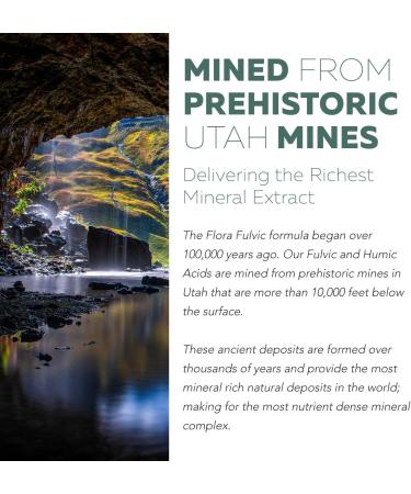 Flora Fulvic | Fulvic Acid + Humic Acid Complex 550 mg | Mined in Utah Prehistoric Deep Earth Extract | Immunity Gut Digestion Natural Trace Mineral Complex Fulvic Acid Supplement 8 fl oz. - Buy Online on GoSupps.com