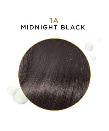 Clairol Professional Beautiful Advanced Gray Solutions Semi-Permanent Hair Color - 1a Midnight Black - Buy Online on GoSupps.com