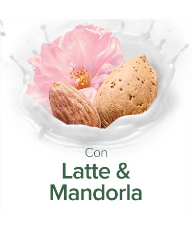  Palmolive Palmolive Milk and Almond Liquid Hand Soap Refill 500ml x 12 | Gentle Formula | Eco Refill | Helps Reduce Plastic Waste | Vegan | Dermatologically Tested - Buy Online on GoSupps.com