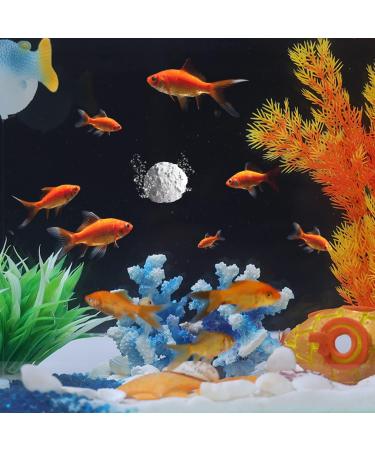 Nobleza - 15 Day Vacation Fish Food 4 Pack - Buy Online on GoSupps.com