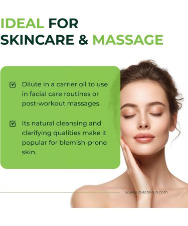 Niaouli Essential Oil 100% Pure & Natural Steam Distilled from Melaleuca viridiflora Leaves | Fresh Camphoraceous Aroma for Respiratory Support Skincare & Diffusion | from Madagascar | 4 Fl Oz 4 Fl Oz (Pack of 1) - Buy Online on GoSupps.com