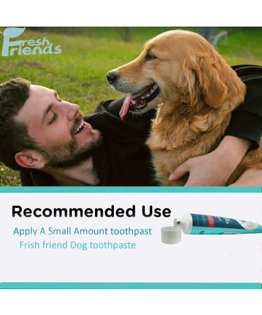 Fresh Friends for Pets Dental Enzymatic Toothpaste for Dogs | Puppy Toothpaste | Gum Toothpaste | Improves Gum Health | Eliminates Bad Breath Removes Plaque & Tartar Buildup | 90g/Bottle | Mint - Buy Online on GoSupps.com