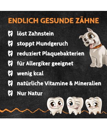 Qchefs Chewing Bones for Dental Care | Best Chews for Young & Old Dogs | Freshens Breath & Promotes Oral Health - Buy Online on GoSupps.com