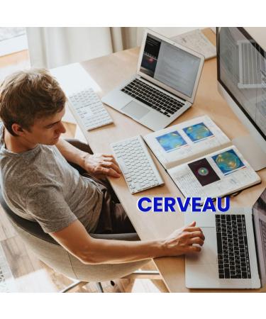 Roches Marines - Marine DNA Dietary Supplement - Maintains Memory and Concentration - Brain Support - Amino Acids Phosphorus Marine DNA - 30 Capsules - Developed in France - Buy Online on GoSupps.com