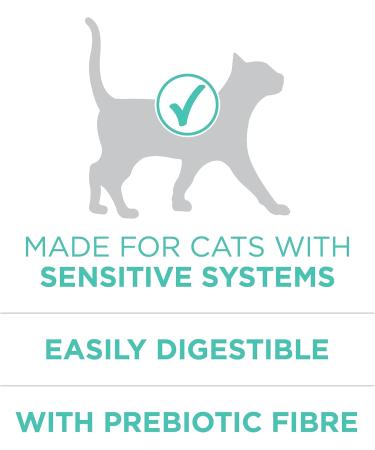 Purina ONE +Plus Dry Cat Food Sensitive Systems Turkey - 1.8 kg Bag 1.8 kg (Pack of 1) Cat Food - Buy Online on GoSupps.com