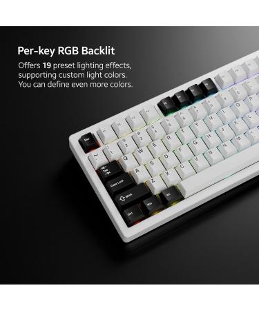 OOCTPK Chilkey ND75 Aluminum Keyboard for Windows, MacOS - White - Buy Online on GoSupps.com