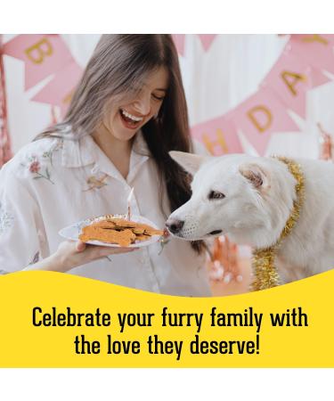 The Granville Island Pet Treatery|Gift Box Peanut Butter & Banana Biscuits for Dogs All Natural & Chemical- Free Great As A Hostess Gift Or Thank You Made in Canada|06955 Peanut Butter & Banana 200 g (Pack of 1) - Buy Online on GoSupps.com