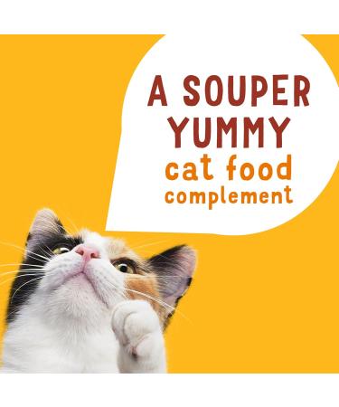 Friskies Lil' Soups Cat Food Complement Chicken and Butternut in Velvety Broth - 34 g Cup (8 Pack) Chicken & Butternut Squash in Broth - Buy Online on GoSupps.com