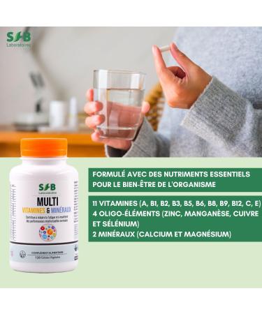 Multivitamins and Minerals - Calcium Magnesium Vitamin B1 B2 B3 B5 B6 B8 B9 B12 Vitamin C Vitamin E Zinc Copper Selenium - 120 Capsules - SFB Laboratoires - Buy Online on GoSupps.com